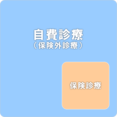 自費診療と保険診療の違い