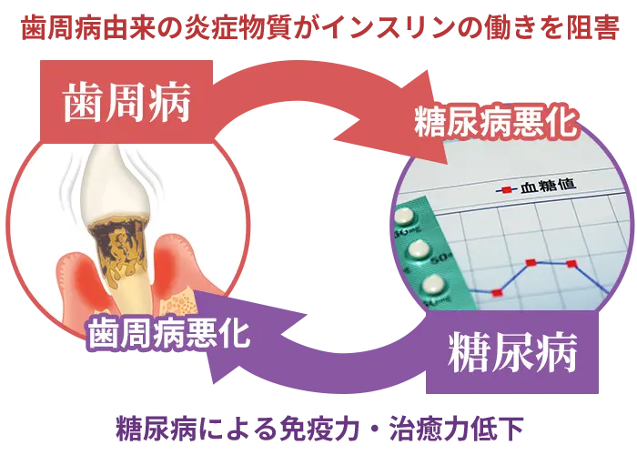 歯周病と全身疾患
