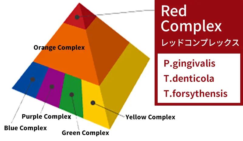 レッドコンプレックス